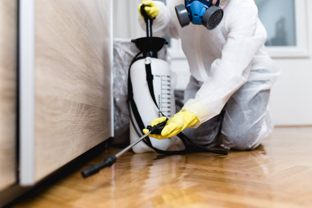 Best Pest Inspection Near Me  in Perryville, AR
