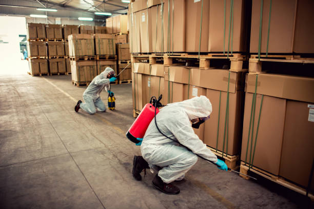 Wasp Removal Services in Perryville, AR