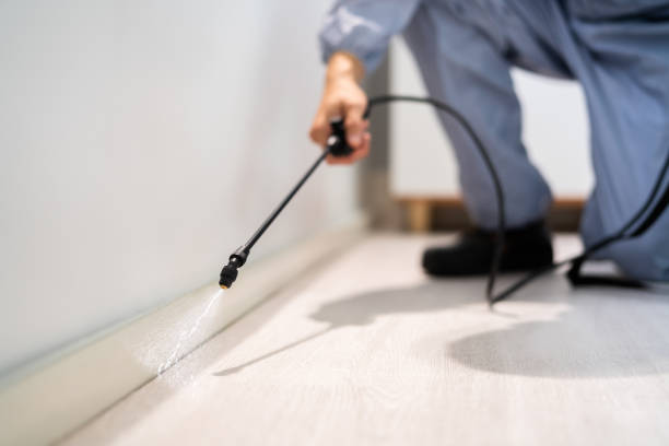 Professional Pest Control in Perryville, AR