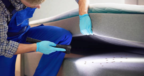 Best Residential Pest Control  in Perryville, AR