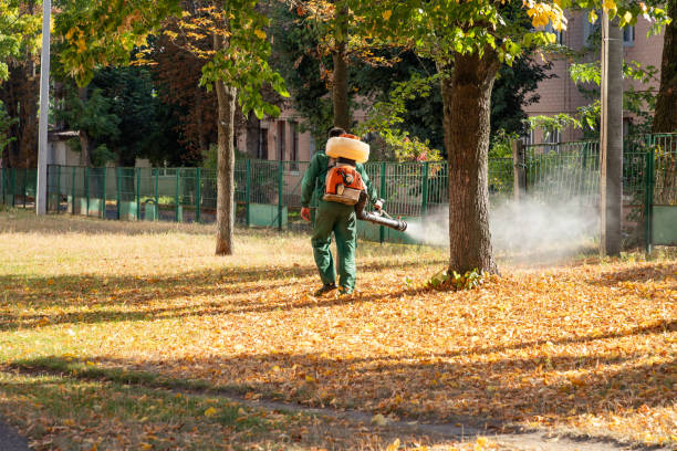 Best Pest Control Near Me in Perryville, AR