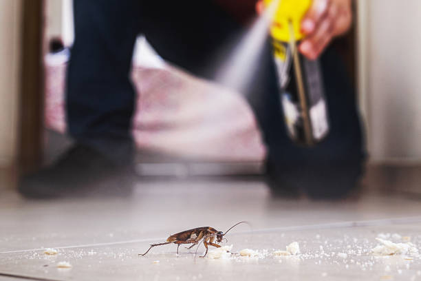 Best Flea Control Services  in Perryville, AR